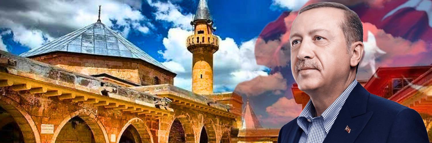 Veli Arslan's banner