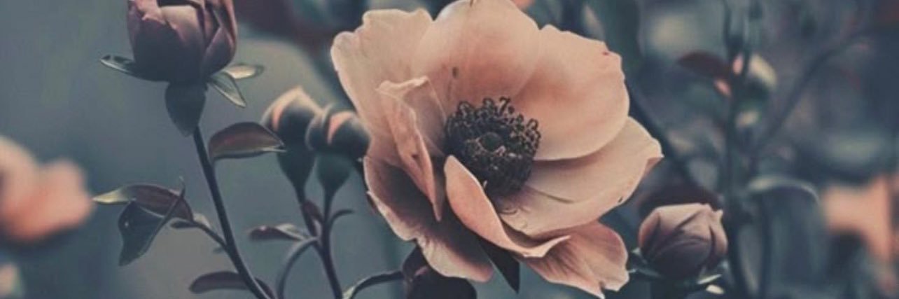 𝓢𝓪𝓼𝓼's banner