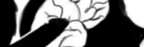 狮雷（重生）'s banner
