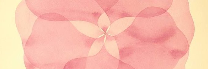𝓵 ⋆˚✿˖ experienced eusexua !'s banner