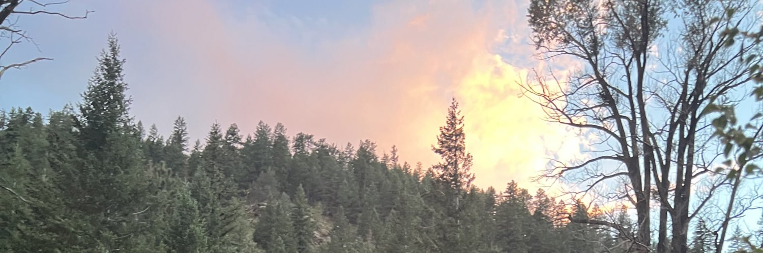 denvbear's banner