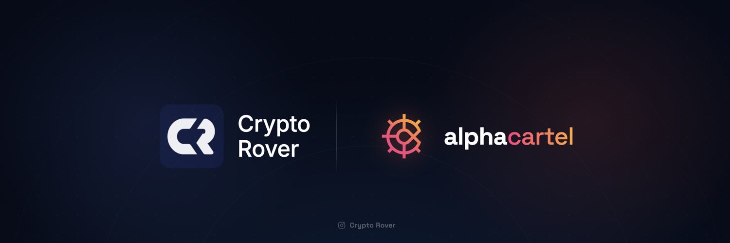 Crypto Rover's banner