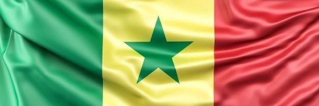 Diegane🇸🇳's banner