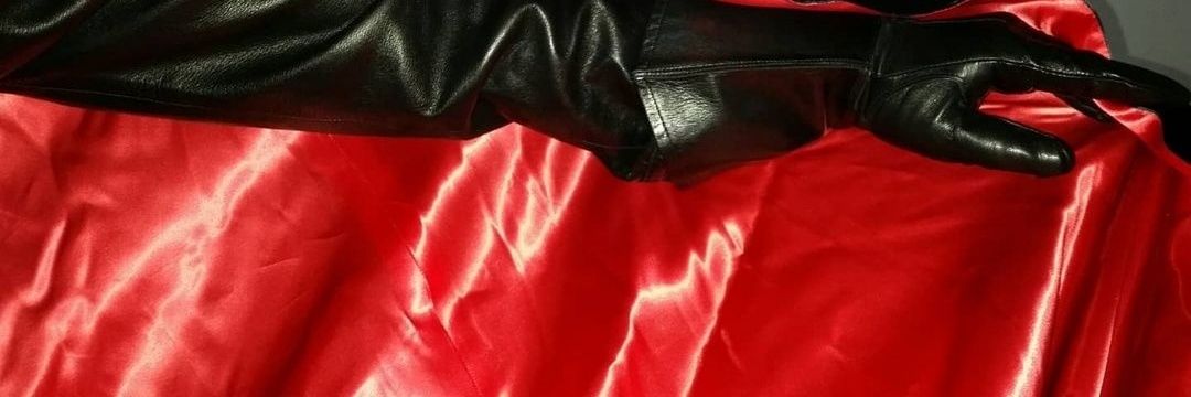 dracula___leather's banner
