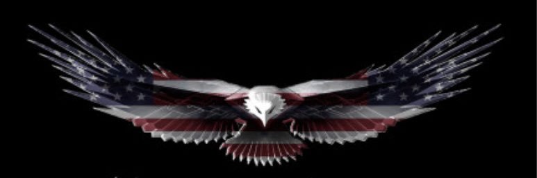 🇺🇸 🦅Simple Man 🦅🇺🇸's banner