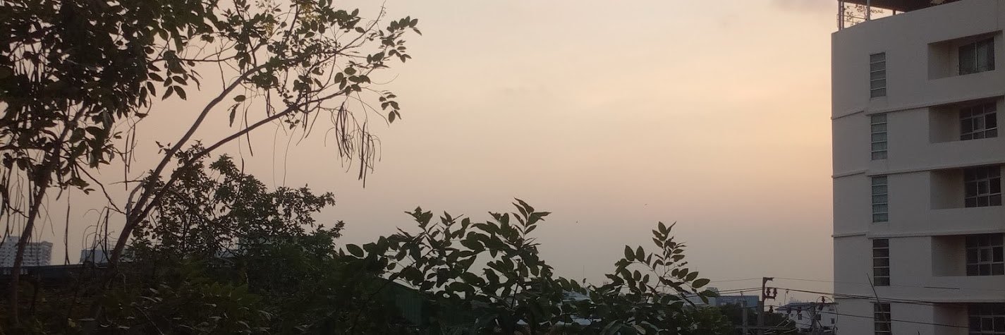 Soo.'s banner