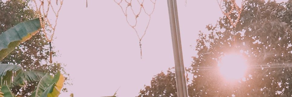 Naafa's banner
