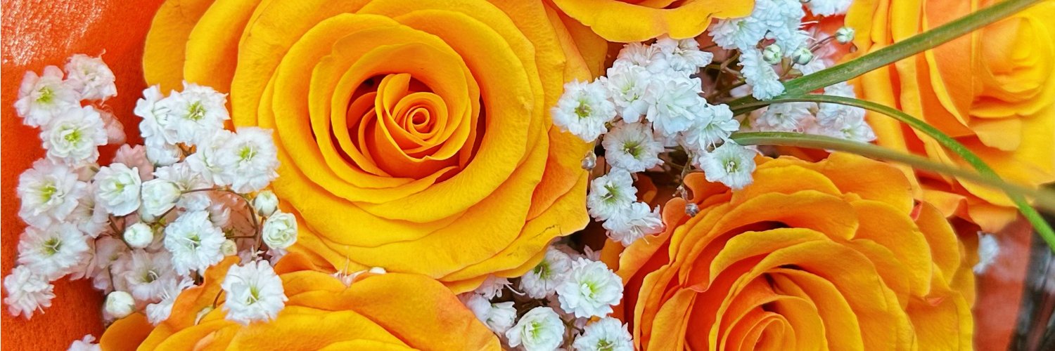 蜜柑Mikan's banner
