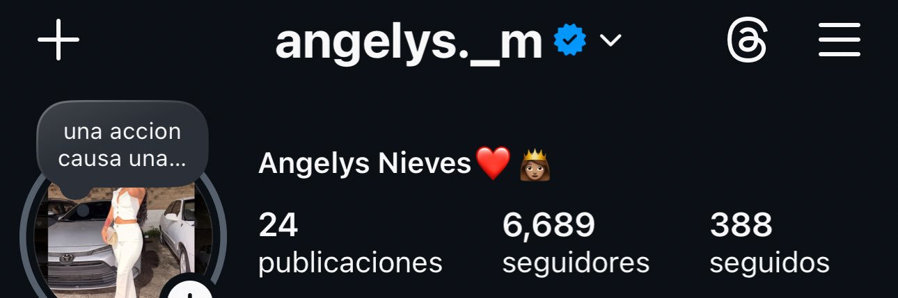 angelys nieves👸🏽's banner