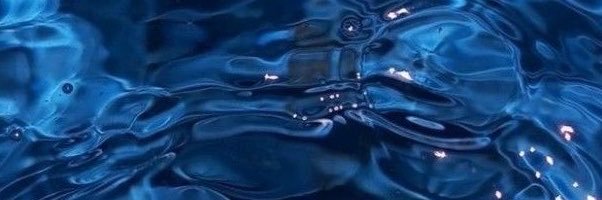 ˚˖𓍢ִ໋❀'s banner