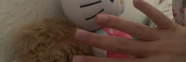 Palomaaa's banner