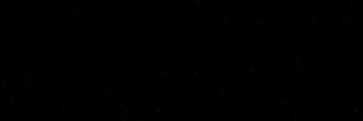 anja's banner