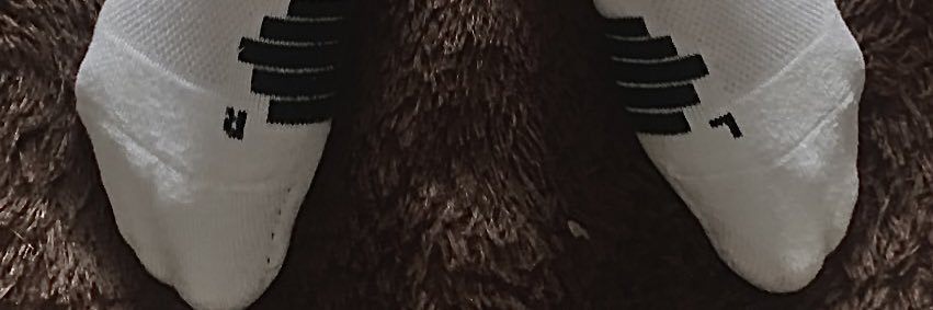 Long's banner