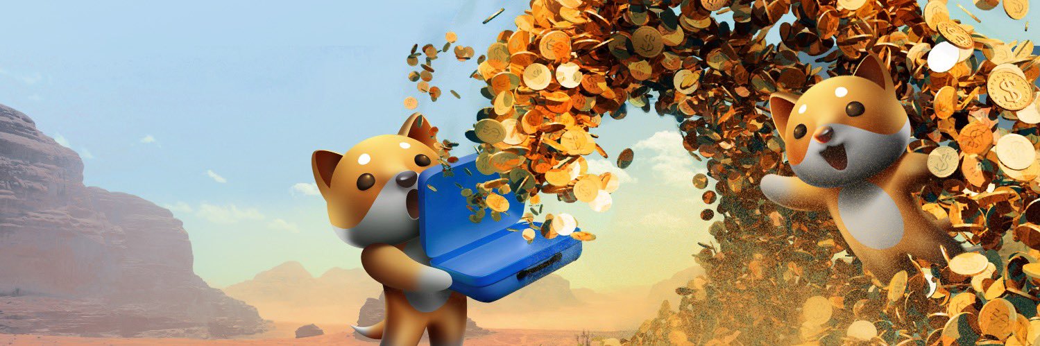 Baby Doge's banner