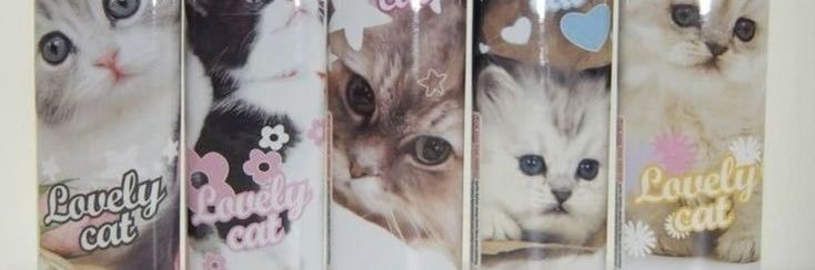☣︎ 🐈‍⬛'s banner