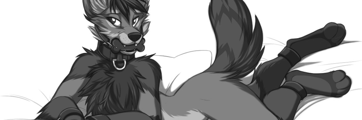 Jackals in Pajamas's banner