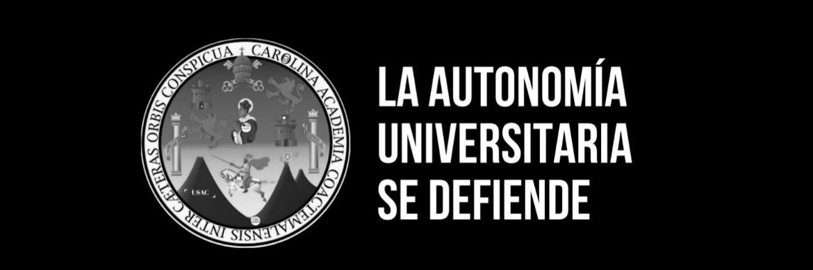 El Sancarlista's banner