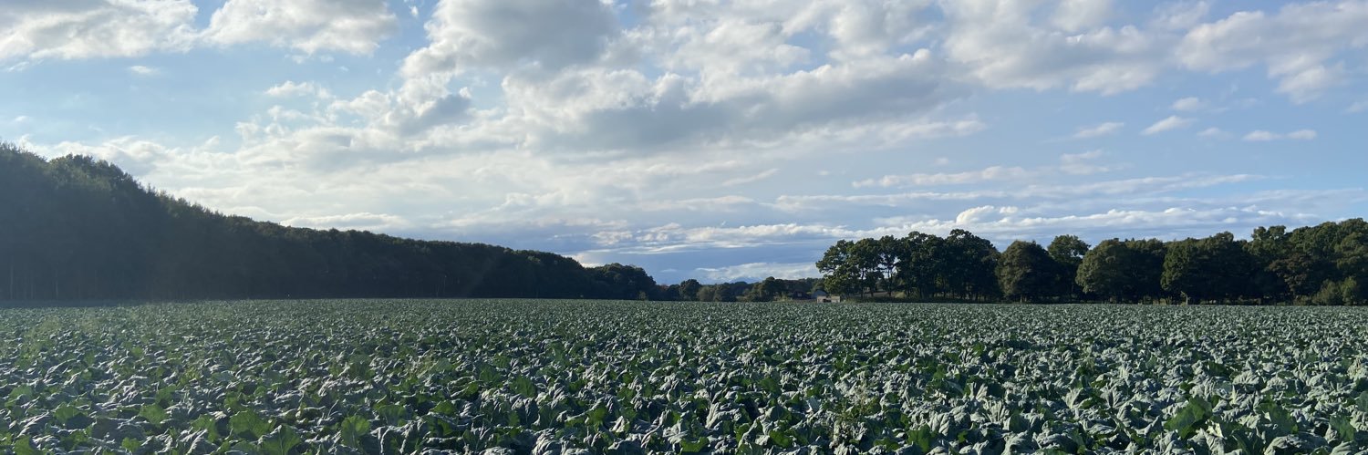 とみやす｜北海道の大規模農家🇯🇵's banner