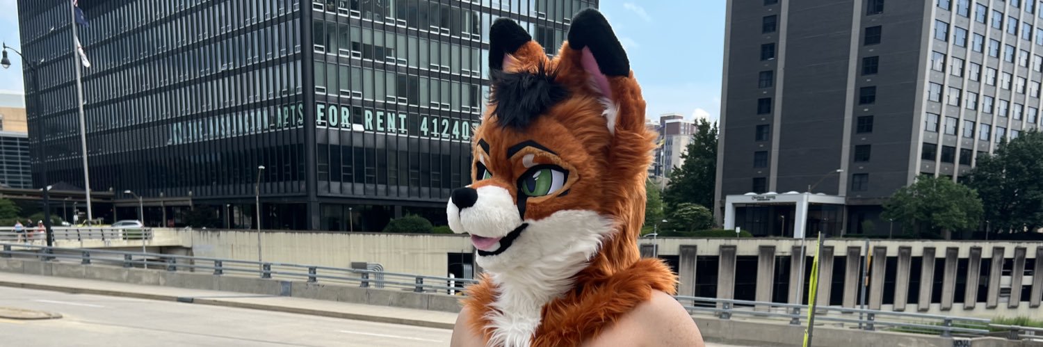 Socks 🦊 🔜 Megaplex's banner