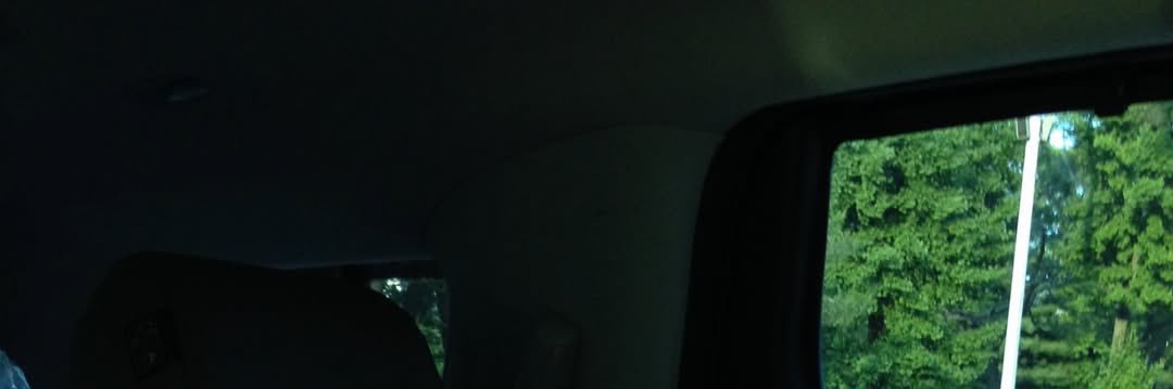 🦴's banner