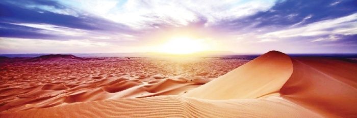 محمد سامي's banner