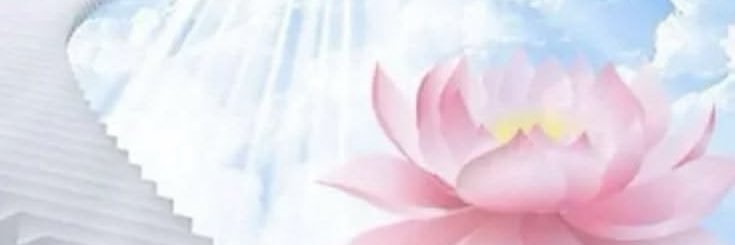 PEING's banner