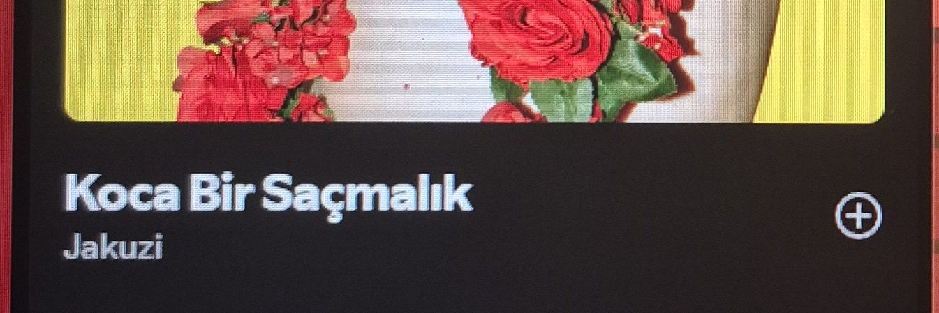 anıl's banner