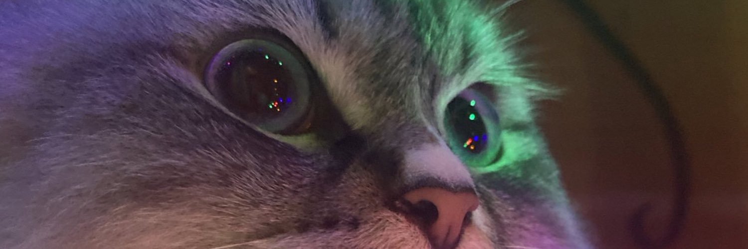 Special Kherson Cat 🐈🇺🇦's banner