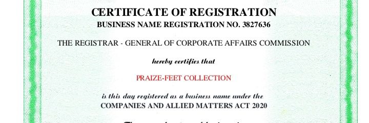 Praize_Feet_Collection 👠👟👞🥿👔👖💙💙's banner