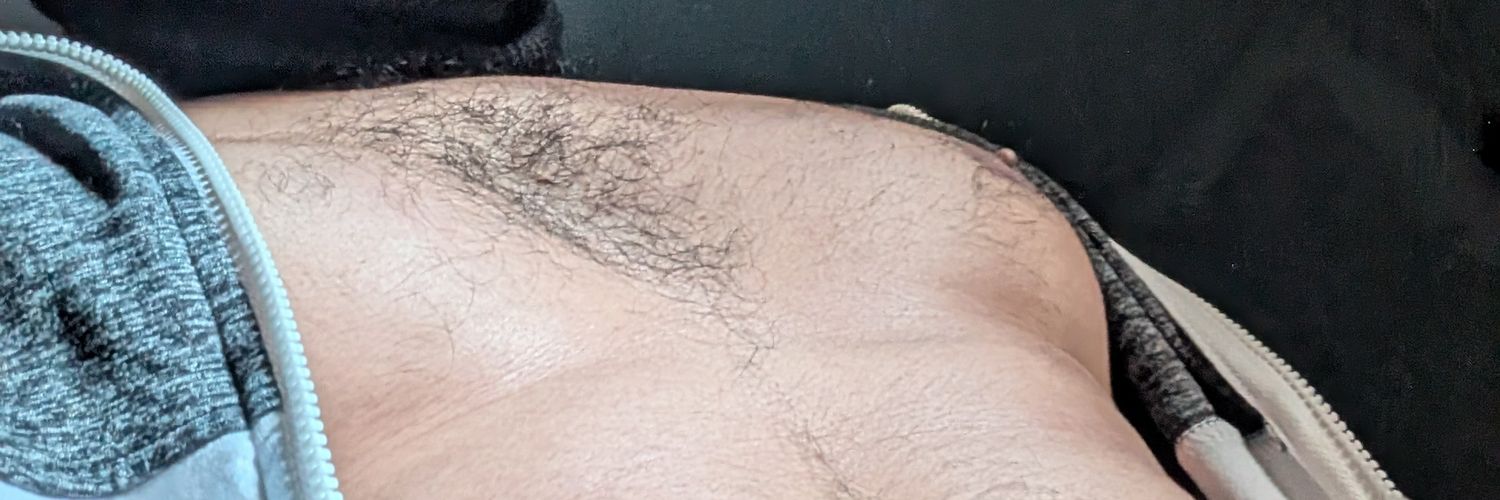 Brosaurus's banner