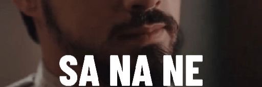 anne's banner
