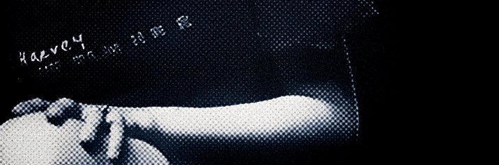 PJ Harvey Updates & Facts's banner