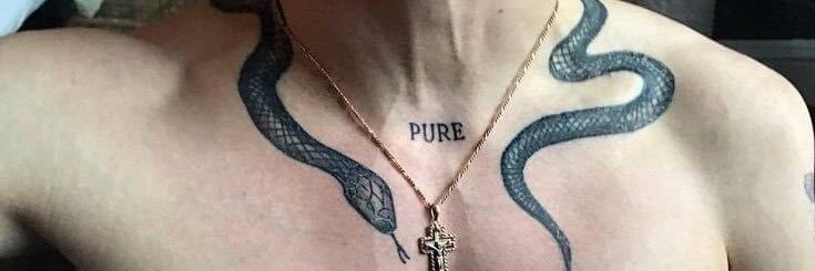 pisces's banner