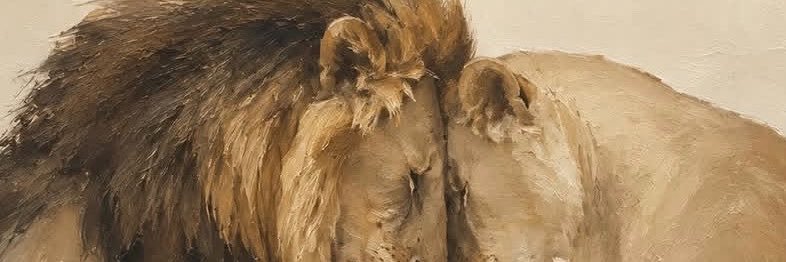 we.all.want.something.beautiful💚🌸🐈‍⬛🐈💖❤️📘💌's banner