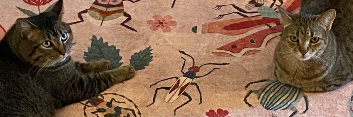 we.all.want.something.beautiful💚🌸🐈‍⬛🐈💖❤️📘💌's banner