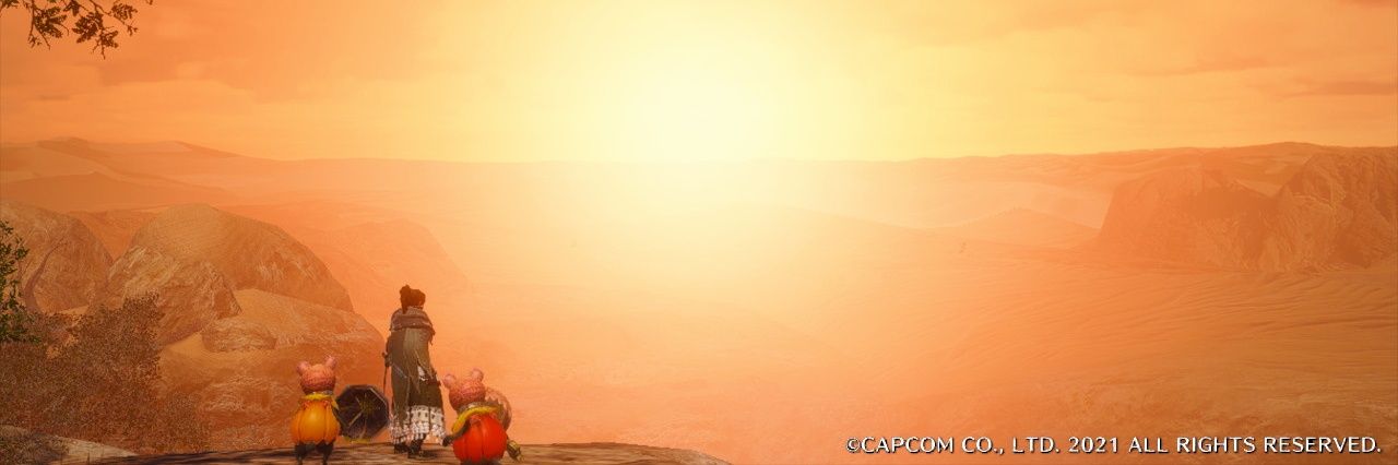 Bigos(ビゴス)'s banner