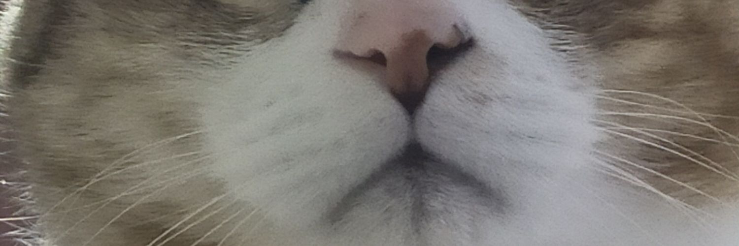 miche's banner