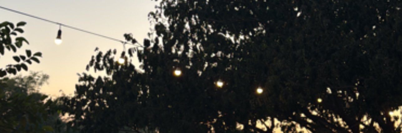 ax_xn's banner