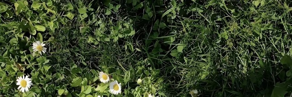Pô👮🏻's banner