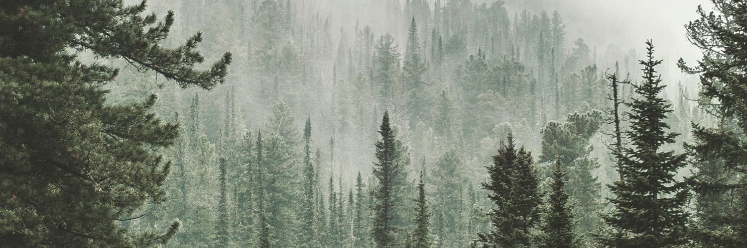 Free's banner