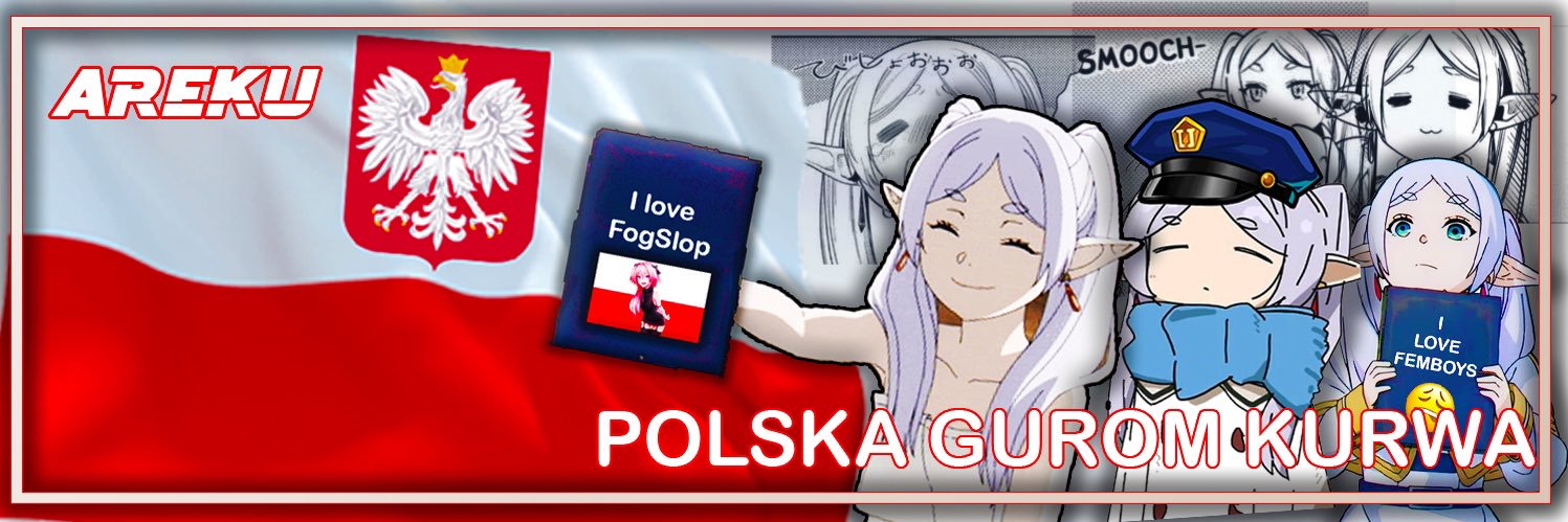 Areku(アレク)🇵🇱's banner