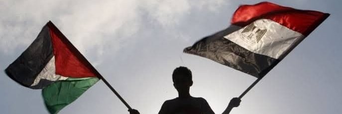 بشرى بسيوني's banner