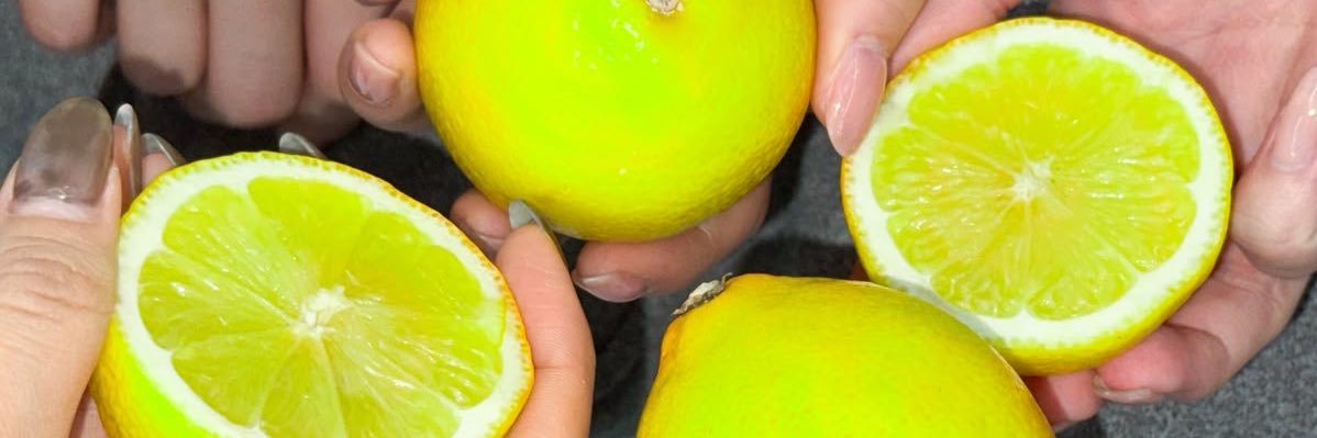 gary thee jaguar ꕤ 🍋's banner