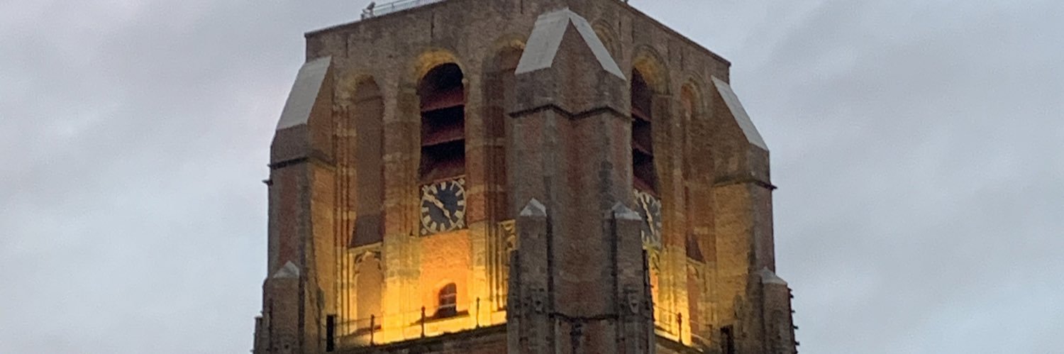 Dr Ekaterina Netchitailova's banner