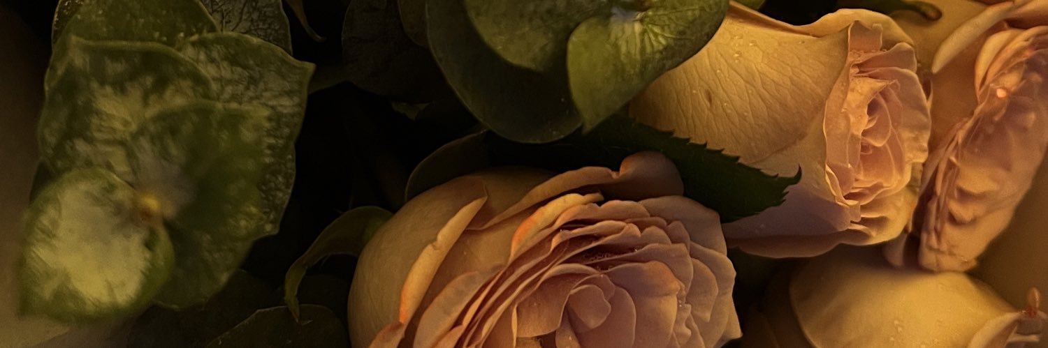 油菜拌云腿's banner