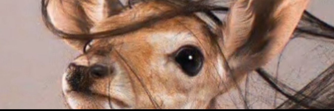 𝓡𝓼𝓱𝓪's banner