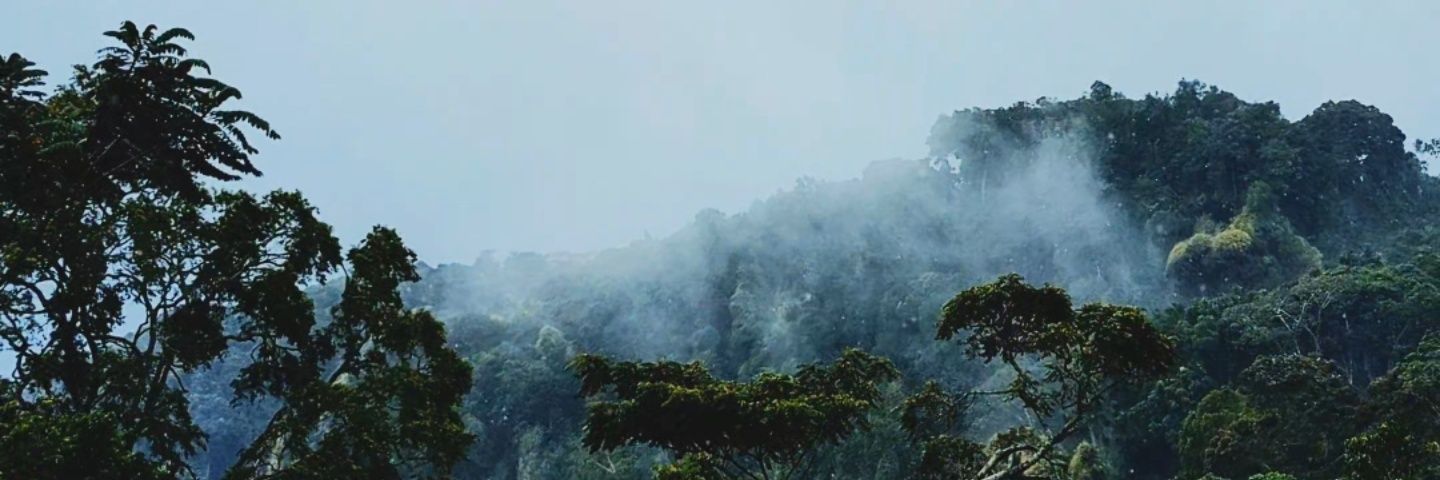 Is's banner