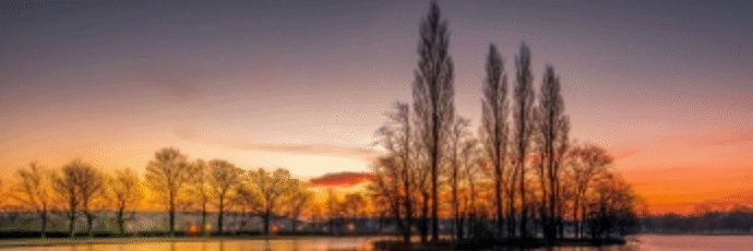 old lover's banner