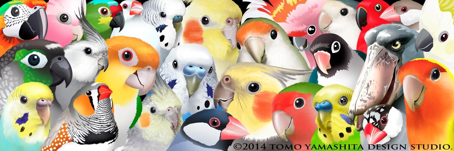 TOMOYAMASHITA's banner