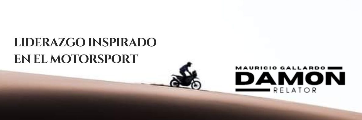 Mauricio Gallardo's banner